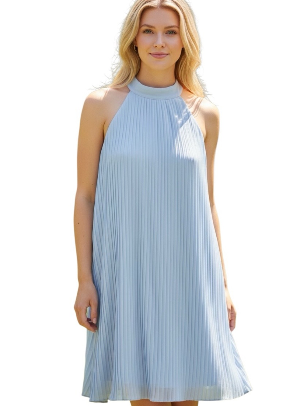 NWT Hermoza Corinne Pleated Dress high neck Size Small MSRP $258